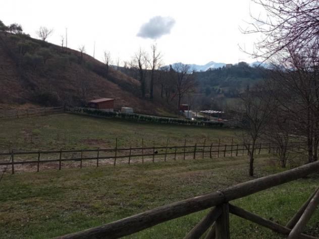 Immobile in asta in vendita a Torricella Sicura - Foto 9