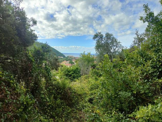 Terreno edif. residenziale in vendita a Deiva Marina 5500 mq Rif: 1391394 - Foto 5