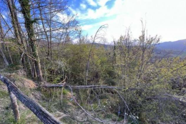 Immobile in asta di 14363 m² in vendita a Monzuno - Foto 4