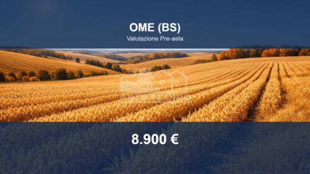 Immobile in asta di 11870 m² in vendita a Ome