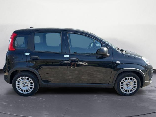 FIAT Panda 1.0 firefly hybrid s&s 70cv - Foto 7
