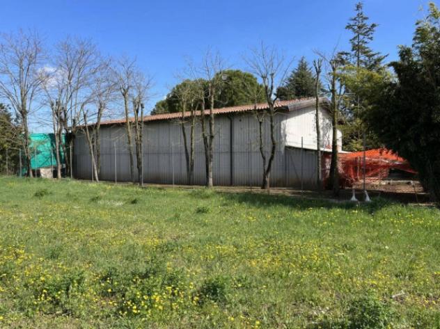 Immobile in asta di 280 m² in vendita a Pressana - Foto 4