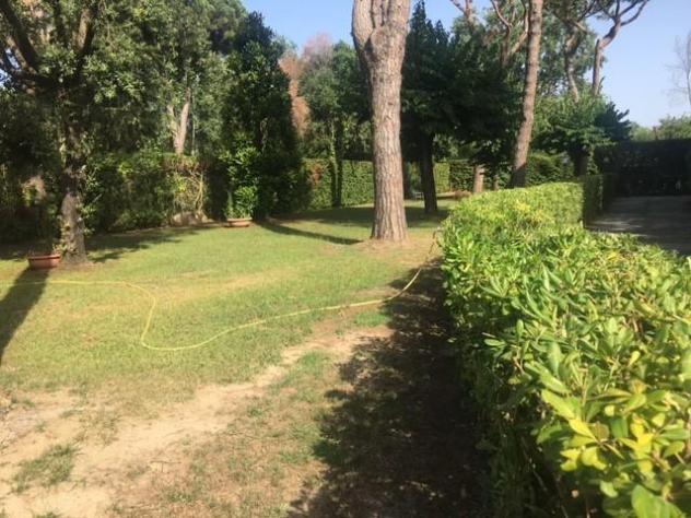 Appartamento in vendita a Ronchi - Massa 60 mq Rif: 1445301 - Foto 4