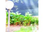 Holiday Home Arzilli