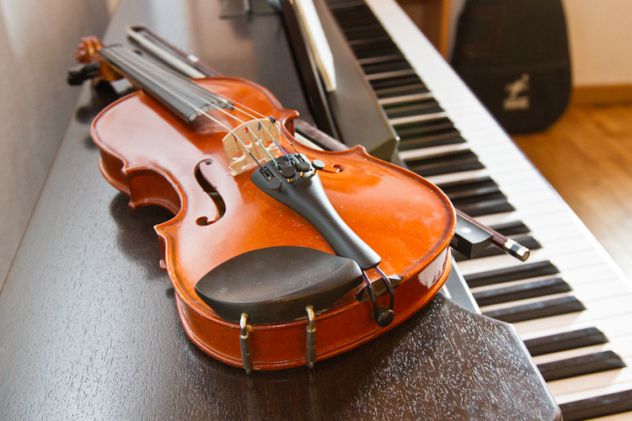 Organista Violinista Matrimonio a LA SPEZIA - PORTOVENERE - Foto 5