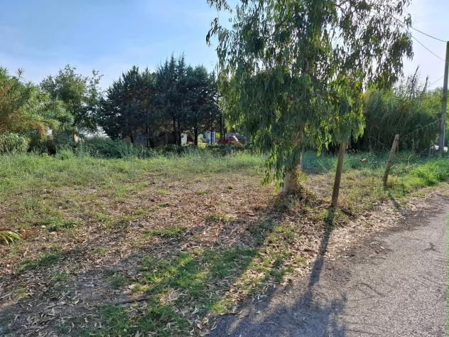 Agricolo in Via Alberto Moravia
