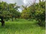 Terreno in vendita a Chiaramonte Gulfi