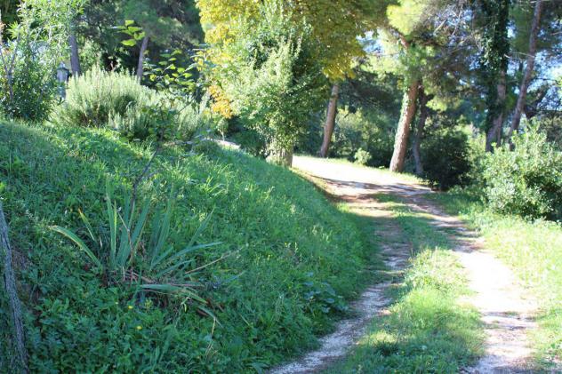 Casolare ristrutturato con vista panoramica, uliveto e garage – Un’oasi di pace tra colline e mare - Foto 16