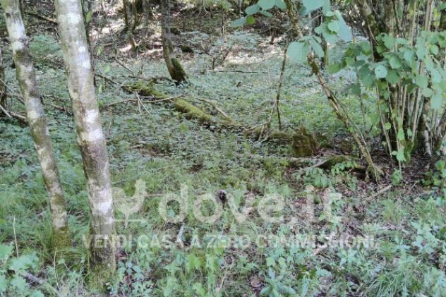 Rustico / Casale di 75 m² con 2 locali in vendita a Taleggio - Foto 7
