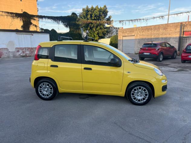Fiat Panda 1.0 FireFly S&S Hybrid - Foto 4