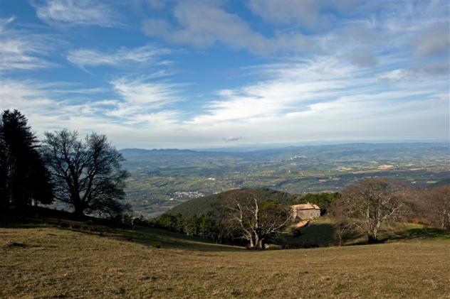 Porzione di casa in vendita a Massa Martana - Foto 3