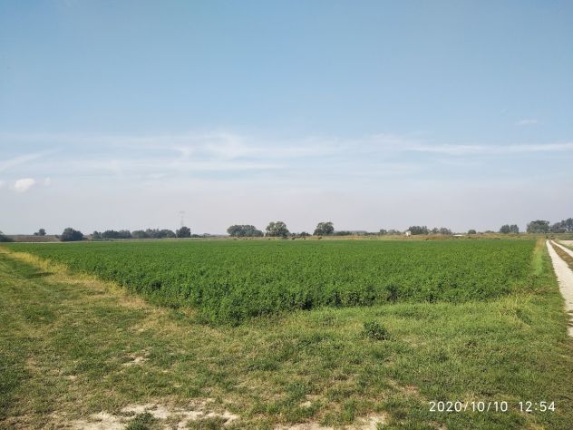 Terreno Agricolo a Corana (PV) - Foto 4