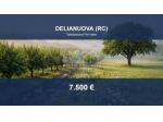 Immobile in asta di 9490 m² in vendita a Delianuova