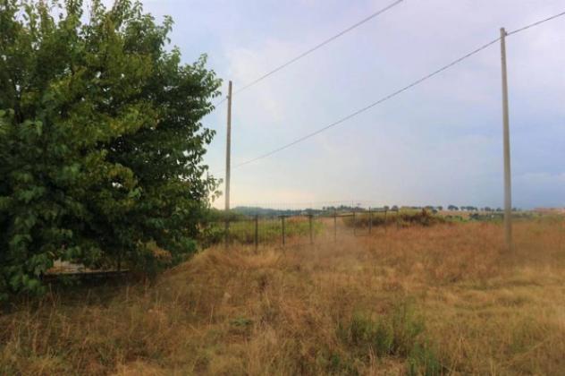 Immobile in asta di 4564160 m² in vendita a Potenza Picena - Foto 6
