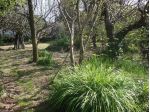 Colonica in vendita a San Lorenzo Alle Corti - Cascina 550 mq  Rif: 160064