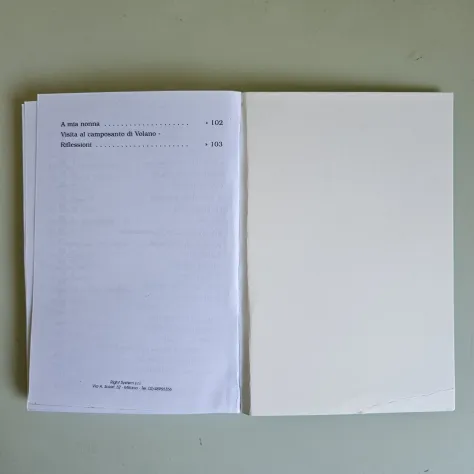 Colloqui - Luigi Rosi - Right System Ed - 2010 - TRACCIATA!! - Foto 4