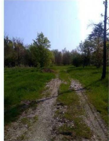 Immobile in asta di 11048 m² in vendita a Caneva - Foto 12