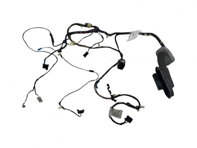 CABLAGGIO PORTA ANTERIORE DESTRA BMW X3 2° Serie 9243655 (10)