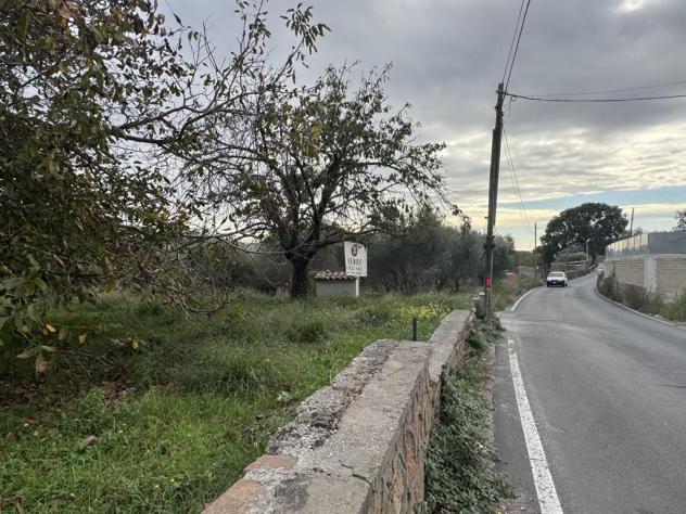ALBANO LAZIALE - Foto 15