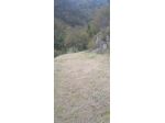 affitto terreno.  agricolo