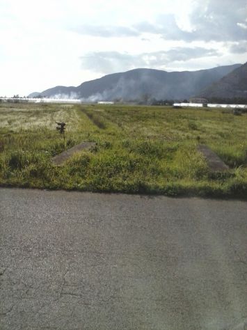 VENDO TERRENO PIANEGGIANTE 23.000 METRI COMUNE DI MONTE SAN BIAGIO (LT) ITALIA - Foto 5