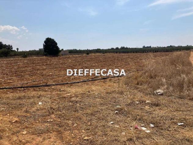 V2499 - In vendita a Trapani terreno agricolo - Foto 2