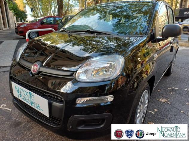 FIAT Panda Pandina 1.0 FireFly S&S Hybrid Pop Km0 rif. 24220905 - Foto 2