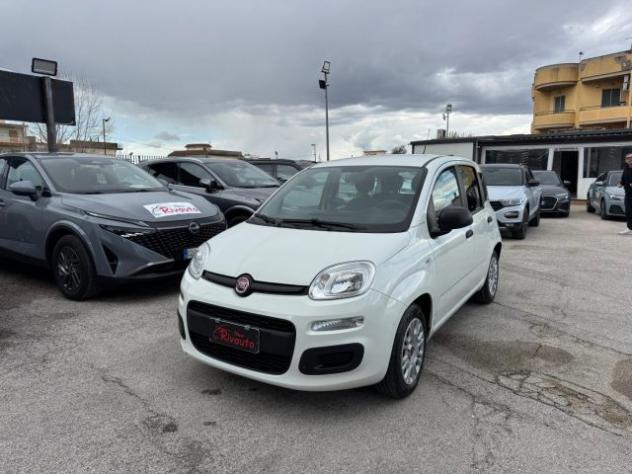 FIAT Panda 1.0 FireFly S&S Hybrid Easy rif. 24032063 - Foto 2