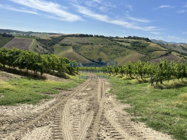 PODERE AGRICOLO CON CAPANNONE - BRISIGHELLA - FAENZA - VIA AGELLO E SANDRONA - Foto 10