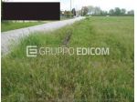 Terreno di 29838 mq  in vendita a Paese - Rif. 4549349
