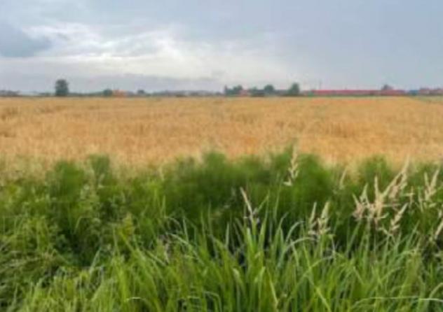 Immobile in asta di 73 m² in vendita a Portogruaro - Foto 14