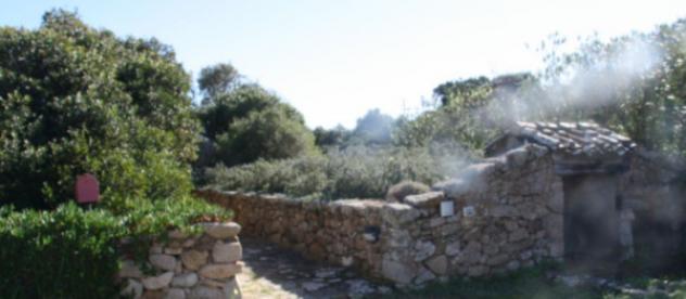 Immobile in asta di 320 m² in vendita a Santa Teresa Gallura - Foto 3
