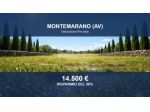 Immobile in asta di 14620 m² in vendita a Montemarano