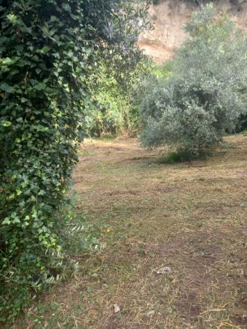 Uliveto in vendita a Morlupo - Foto 8
