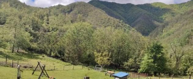 Immobile in asta di 40727 m² in vendita a Mulazzo - Foto 2