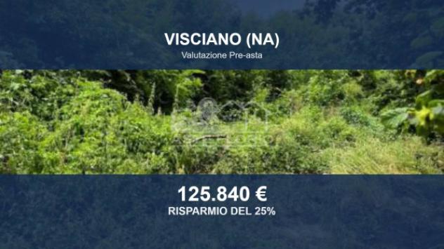 Immobile in asta di 39481 m² in vendita a Visciano
