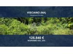 Immobile in asta di 39481 m² in vendita a Visciano