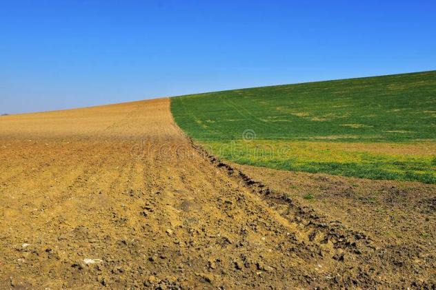 Terreno agricolo in Vendita in zona GHIZZANO con giardino - Foto 3