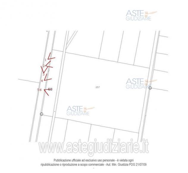IMMOBILI-ALTRA CATEGORIA-SP334, Serre SA, Italia - Foto 2
