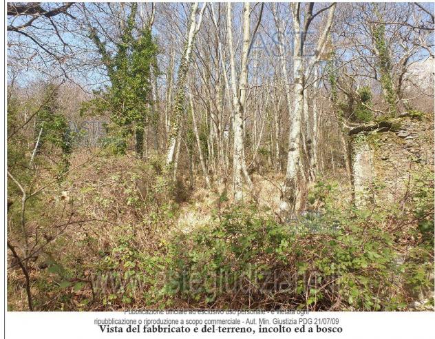 IMMOBILI-ALTRA CATEGORIA-frazione di Levigliani