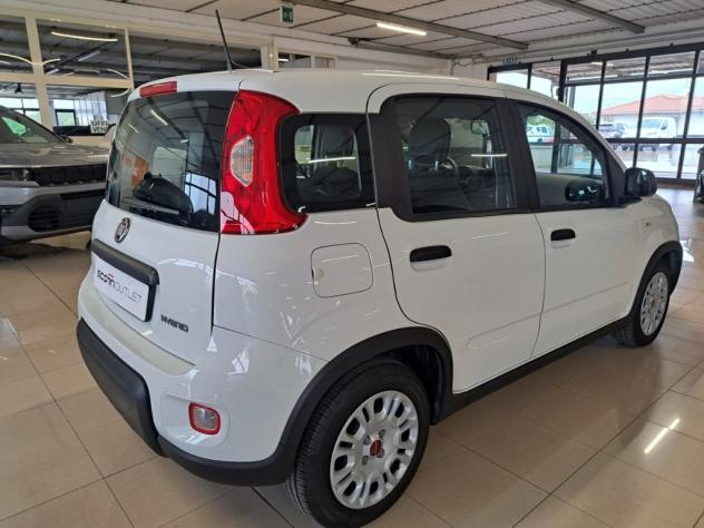 FIAT Panda III 2021 1.0 firefly hybrid s&s 70cv - Foto 4