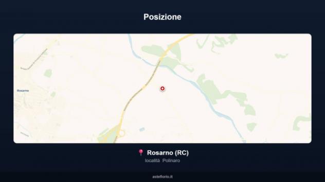 Immobile in asta di 400 m² in vendita a Rosarno - Foto 2