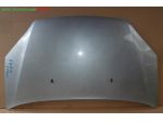 COFANO ANT. GRIGIO AZZURO MET.  Carrozzeria  Lamierati esterni  Cofano  Cof &hellip;