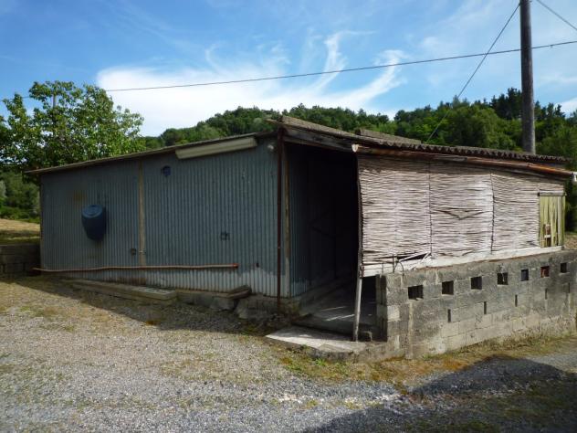 Terreno agricolo in vendita a Chiecinella - Palaia 9000 mq Rif: 455004 - Foto 9