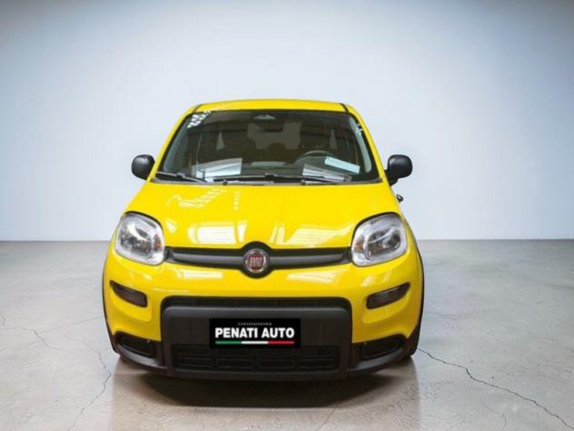 FIAT Pandina Pandina 1.0 firefly hybrid Icon s&s 65cv - Foto 3