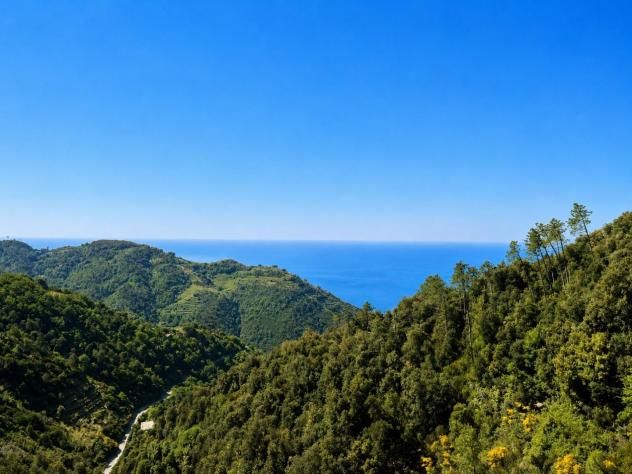Appartamento in vendita a Drignana - Vernazza 121 mq Rif: 1414282 - Foto 7