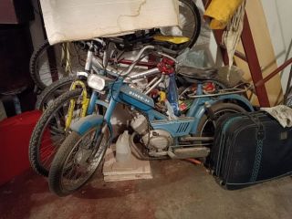 Ciclomotore Guzzi Dingo-3v