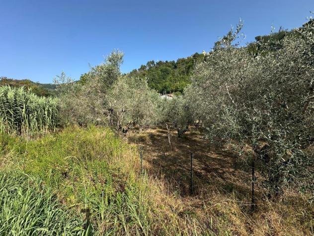 Terreno edif. residenziale in vendita a Isola - Luni 830 mq Rif: 1429047 - Foto 3