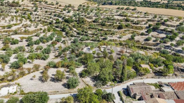 Cascina/Casale in vendita a Modica, Frigintini - Foto 12