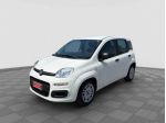 FIAT Panda Panda 1.0 FireFly Hybrid rif. 23760186